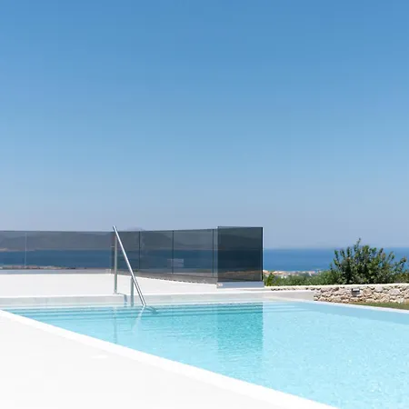 Jaubelli Bliss Platanion