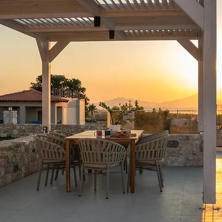 Jaubelli Bliss Platanion