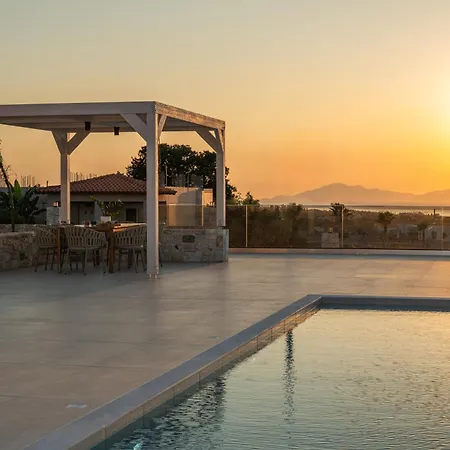 Jaubelli Bliss Platanion